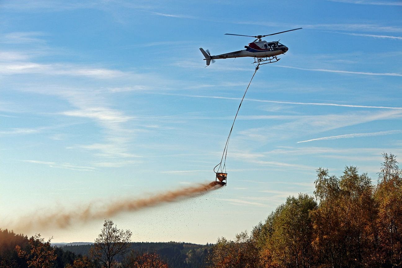 Kalk Fachpublikationen Forstwirtschaft und Düngung